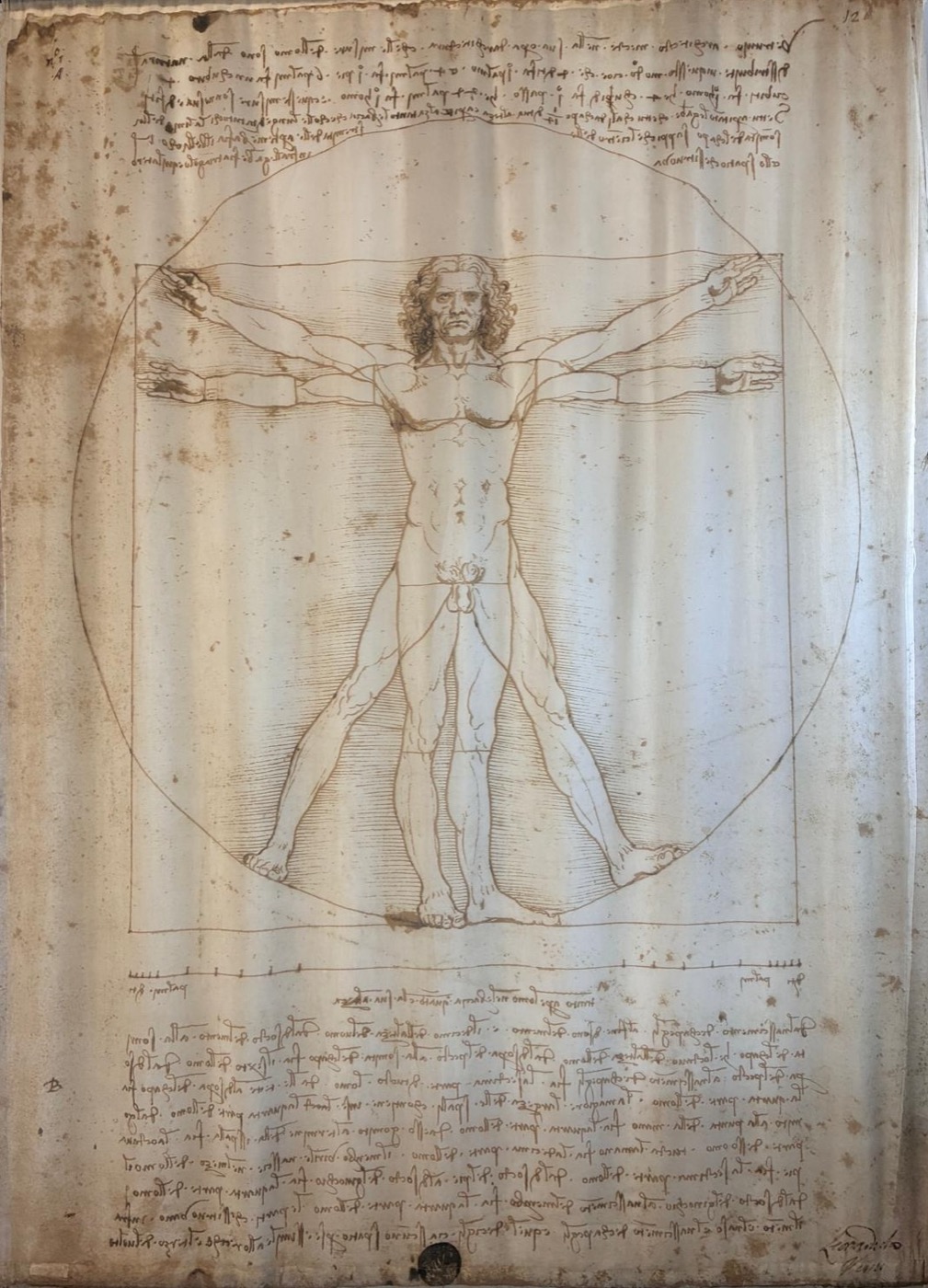 L'Homme de Vitruve, Léonard de Vinci — symbole de l'équilibre et des proportions du corps